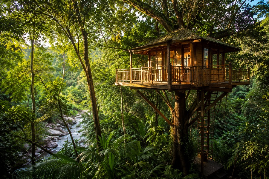 Treehouse Tourism